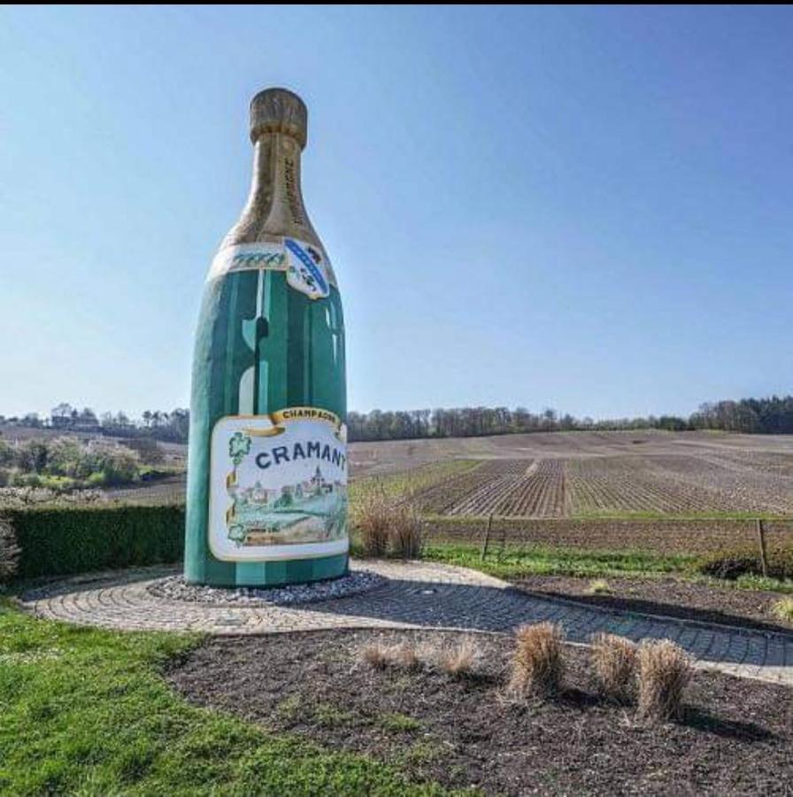 Gite En Champagne Le Sarment Cramant Bagian luar foto