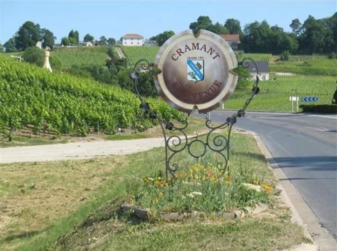 Gite En Champagne Le Sarment Cramant Bagian luar foto