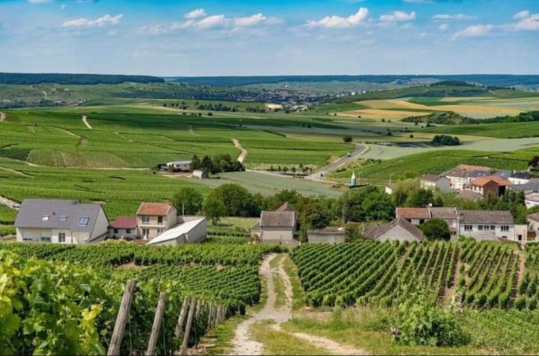Gite En Champagne Le Sarment Cramant Bagian luar foto