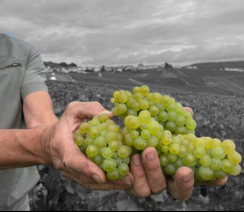 Gite En Champagne Le Sarment Cramant Bagian luar foto